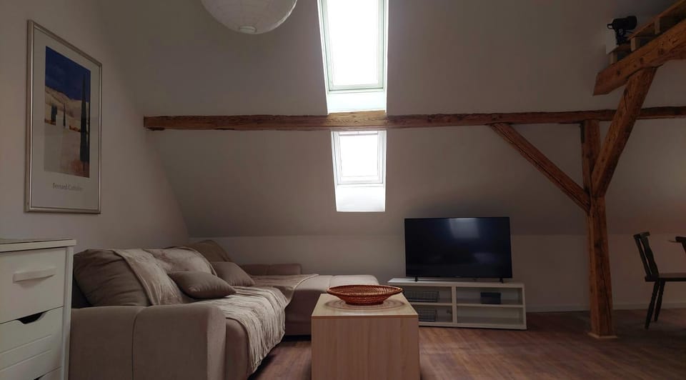 Communal lounge/ TV room, TV and multimedia