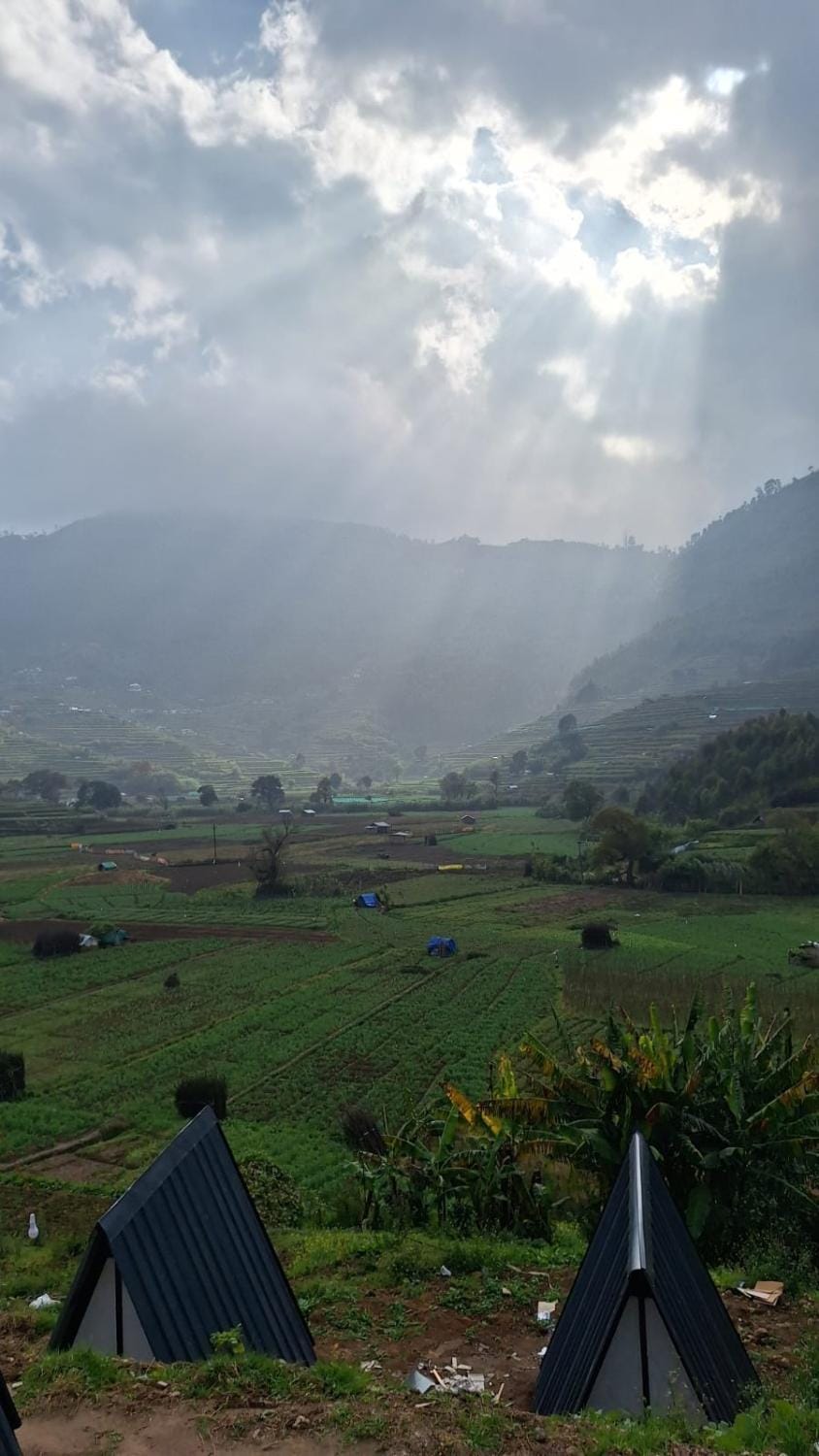 Natural landscape