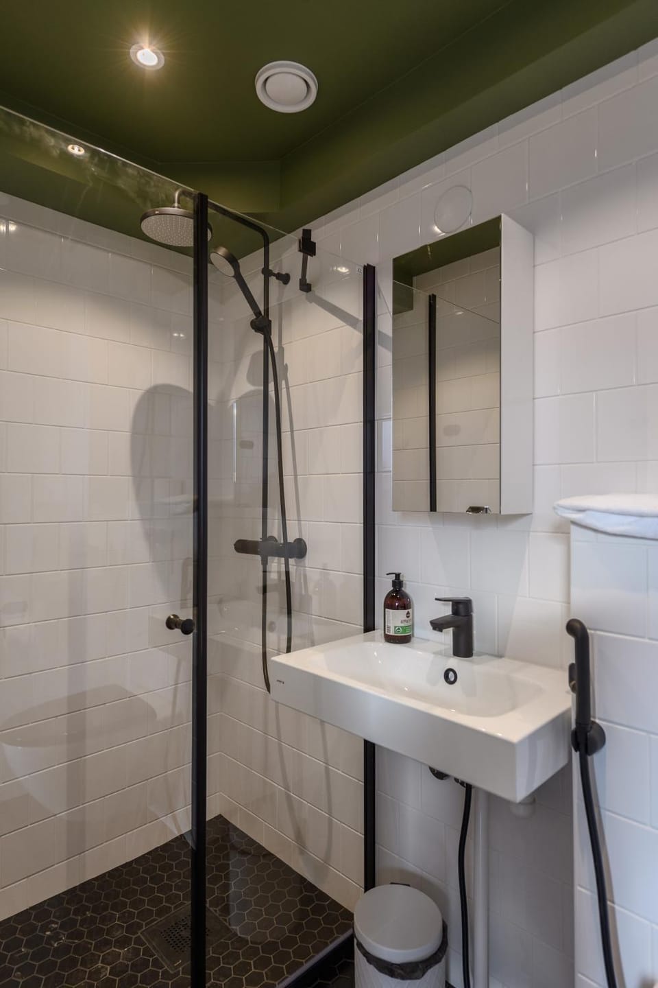 Shower, Toilet, Bathroom, bidet, hair dryier