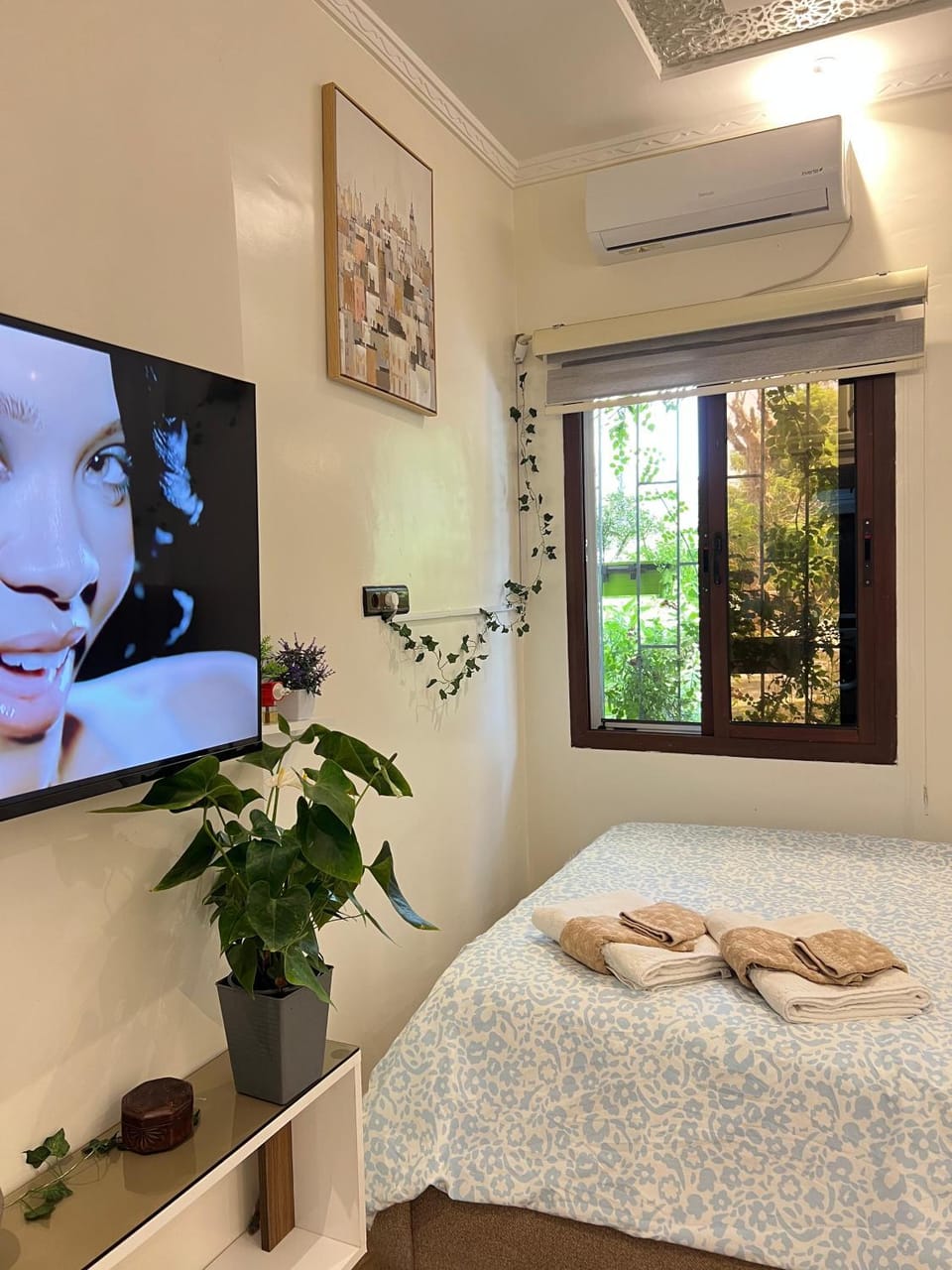 Bed, TV and multimedia, air conditioner