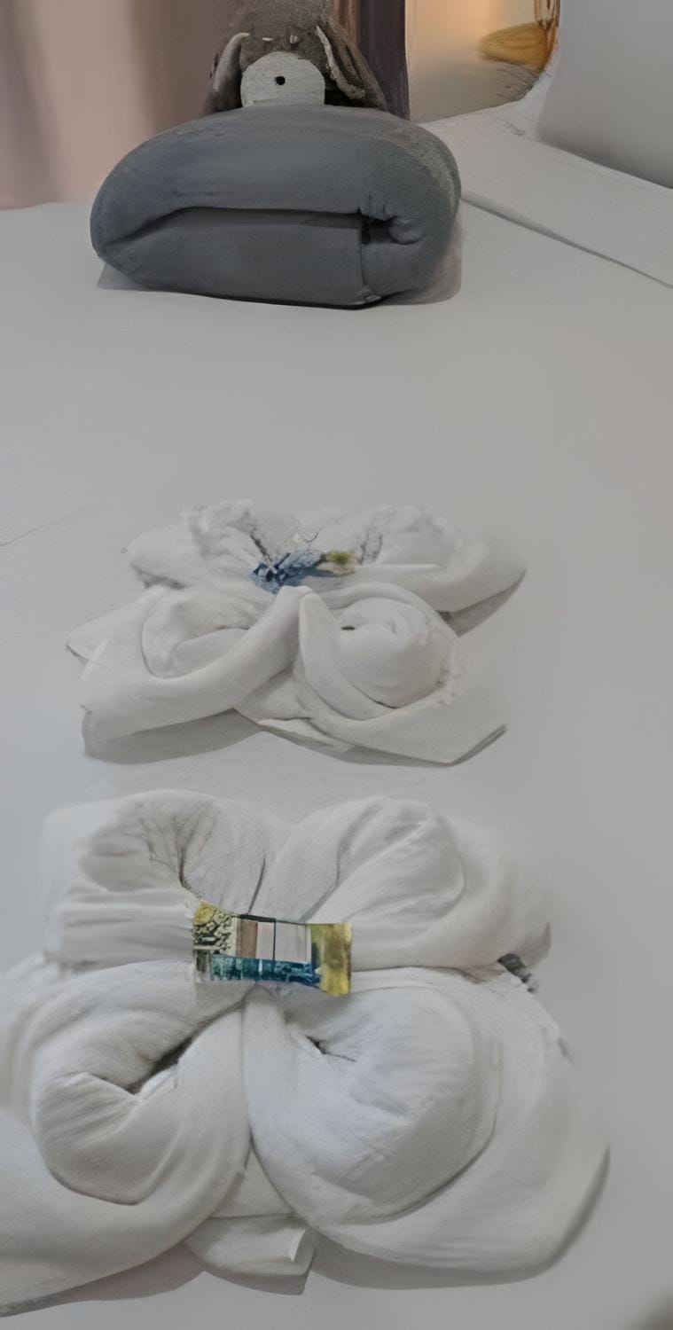 EL 1605 Apartamento inteiro ao lado do metrô Apartment in Sao Paulo City
