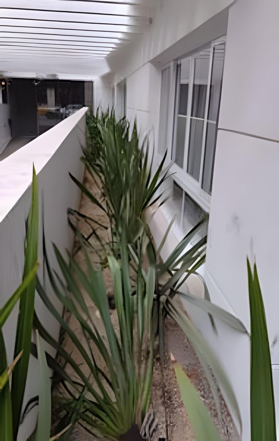 EL 1605 Apartamento inteiro ao lado do metrô Apartment in Sao Paulo City