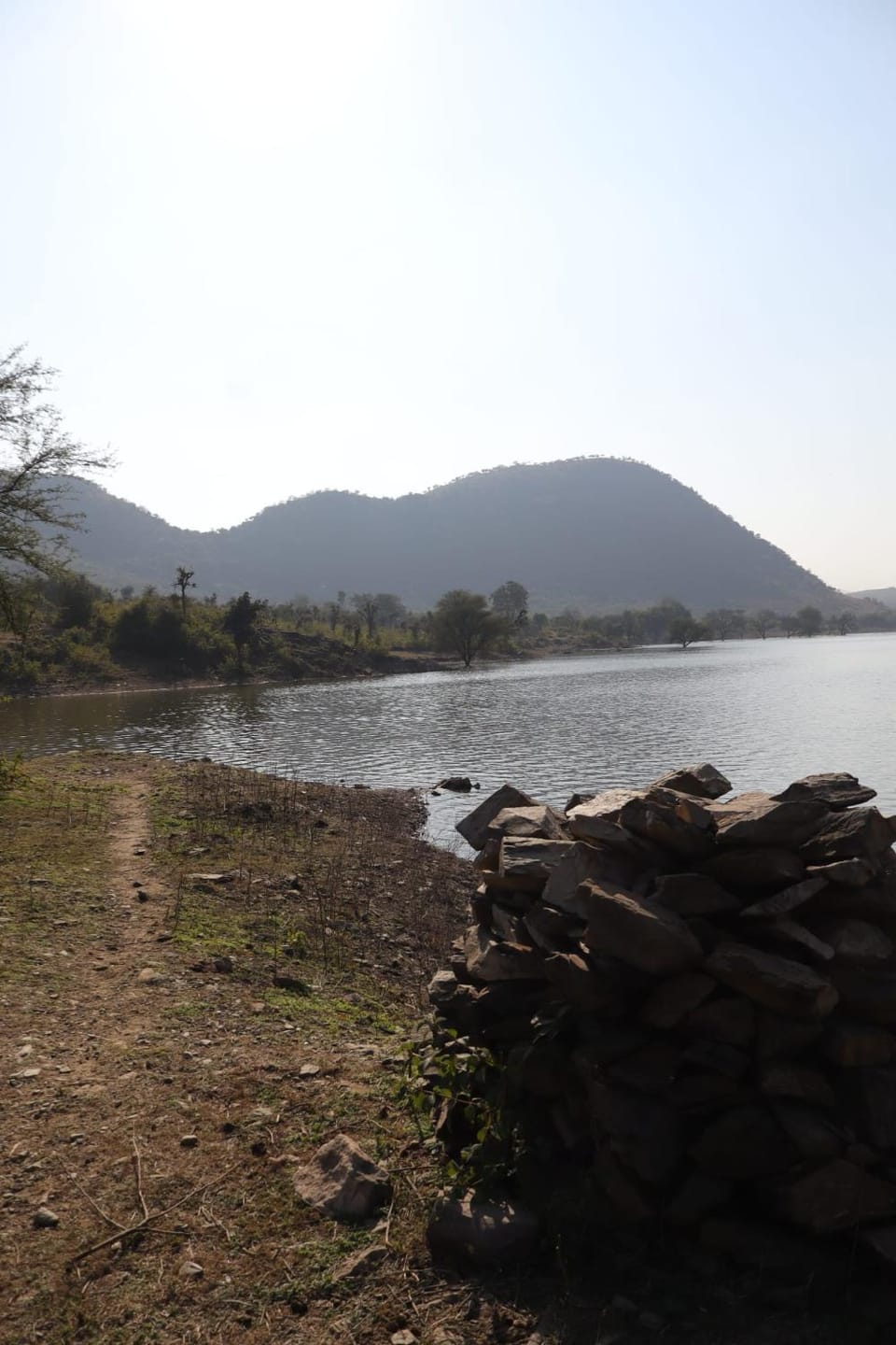 Lake view