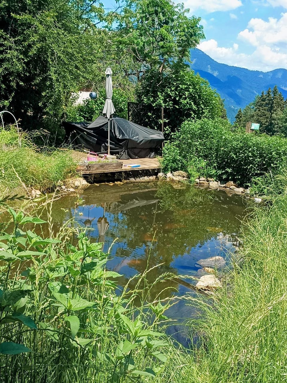 Spring, Day, Natural landscape, Mountain view, Pool view, Swimming pool, sunbed