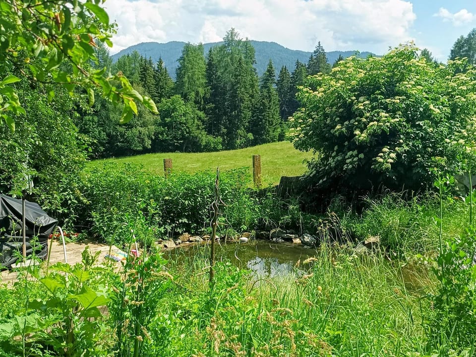 Spring, Day, Neighbourhood, Natural landscape, Activities, Summer, Lake view, Mountain view, Swimming pool, sunbed