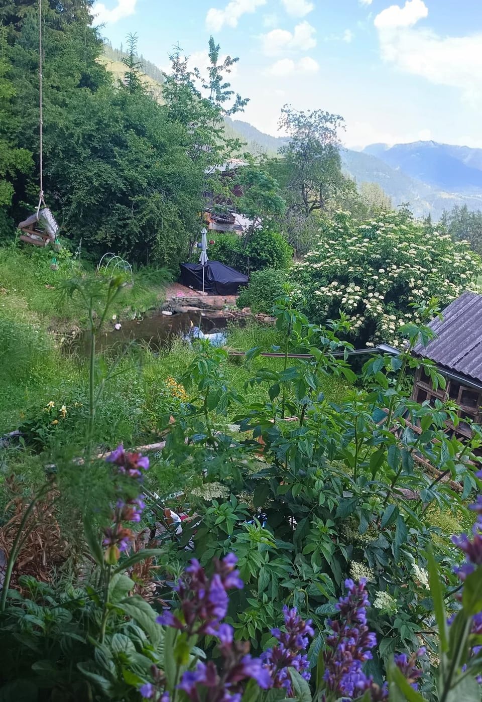 Spring, Day, Natural landscape, Garden, Aqua park, Garden view, Mountain view, Swimming pool, sunbed