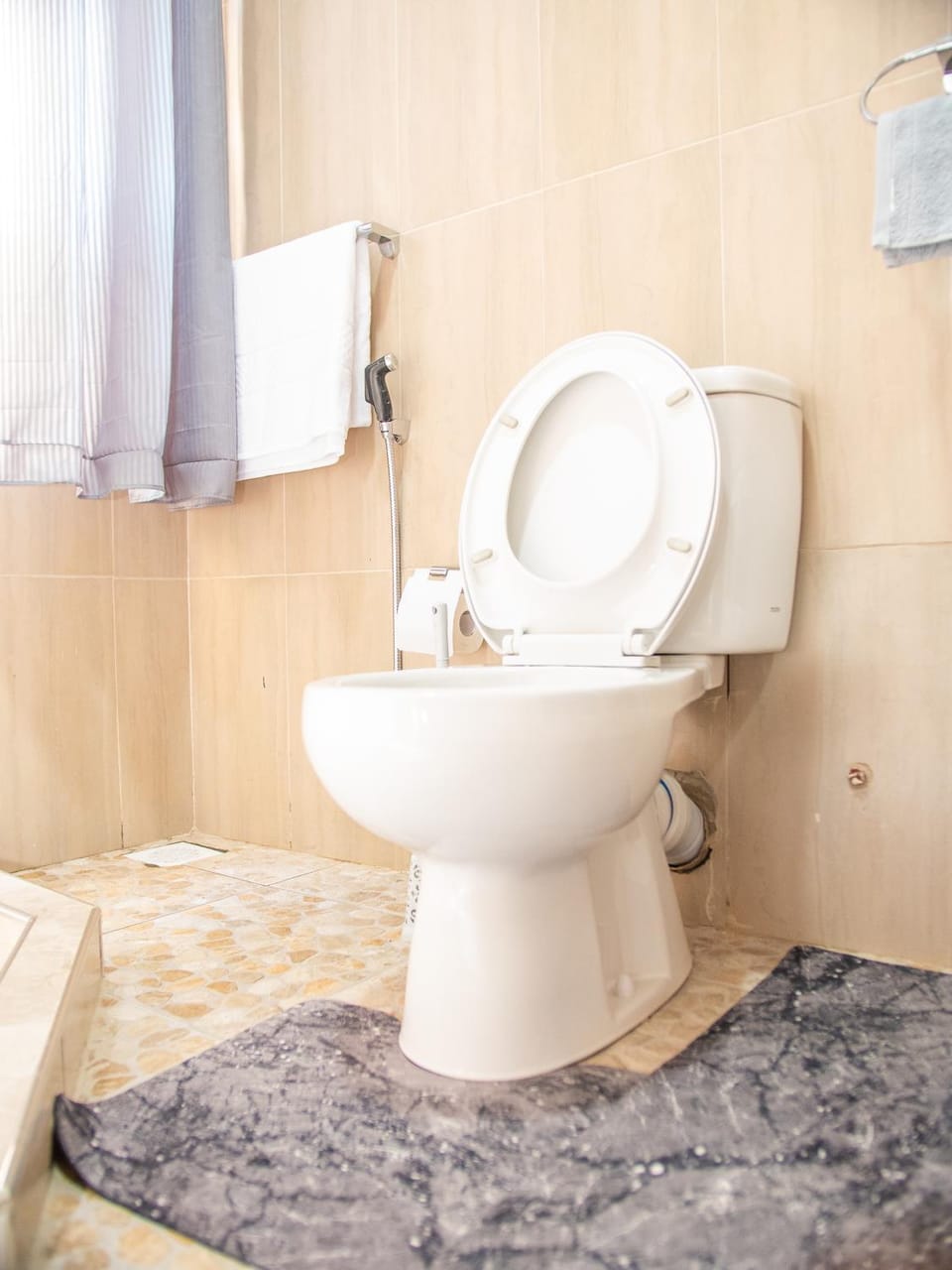 Toilet, Bathroom