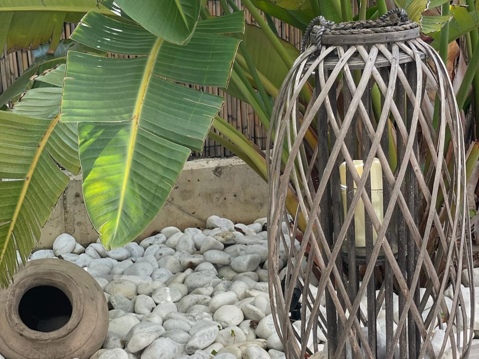 Garden, Balcony/Terrace, Guests, Garden view