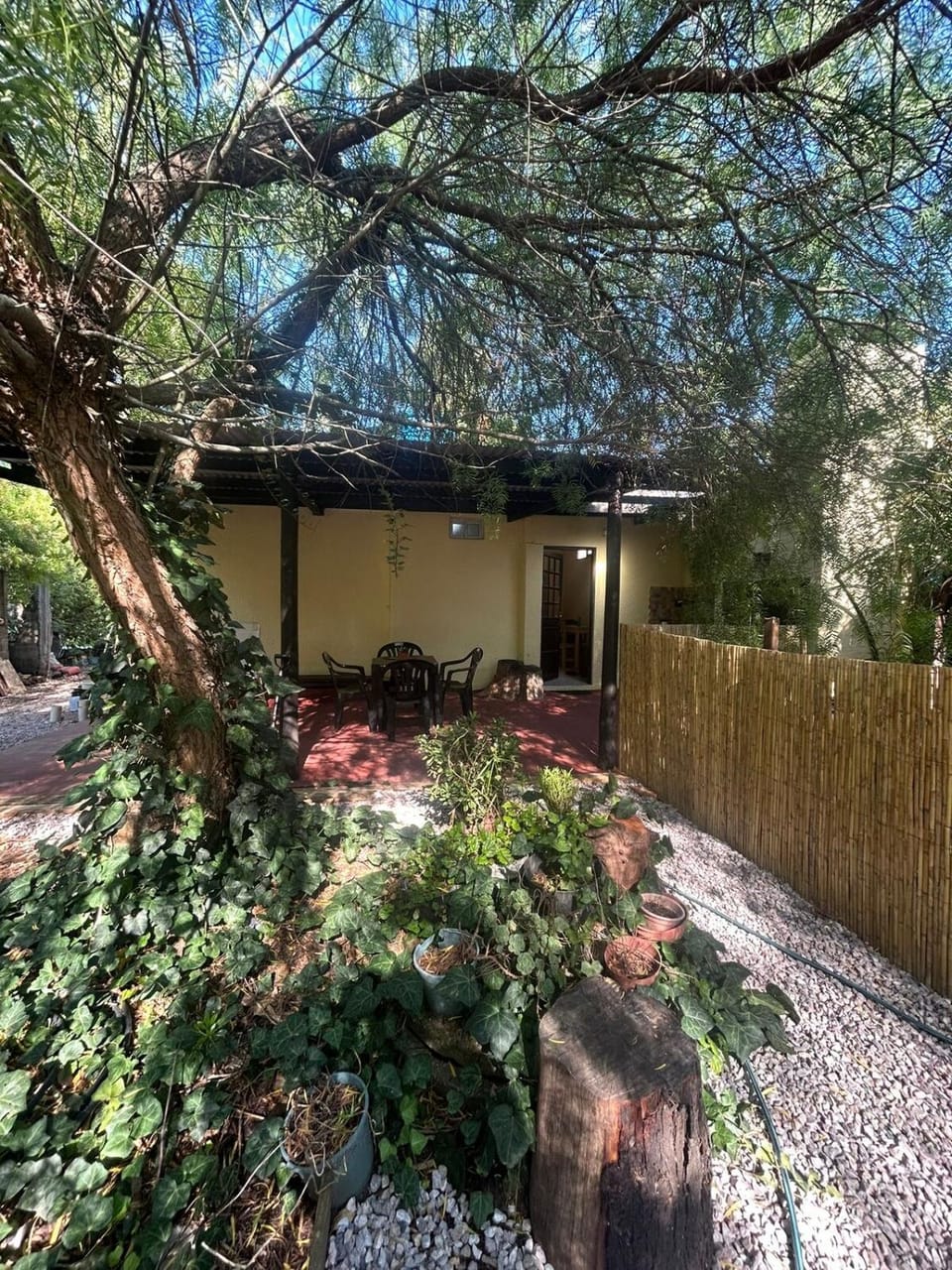 Property building, Garden, Garden view