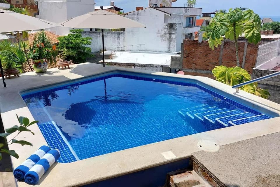 Day, Pool view, Swimming pool