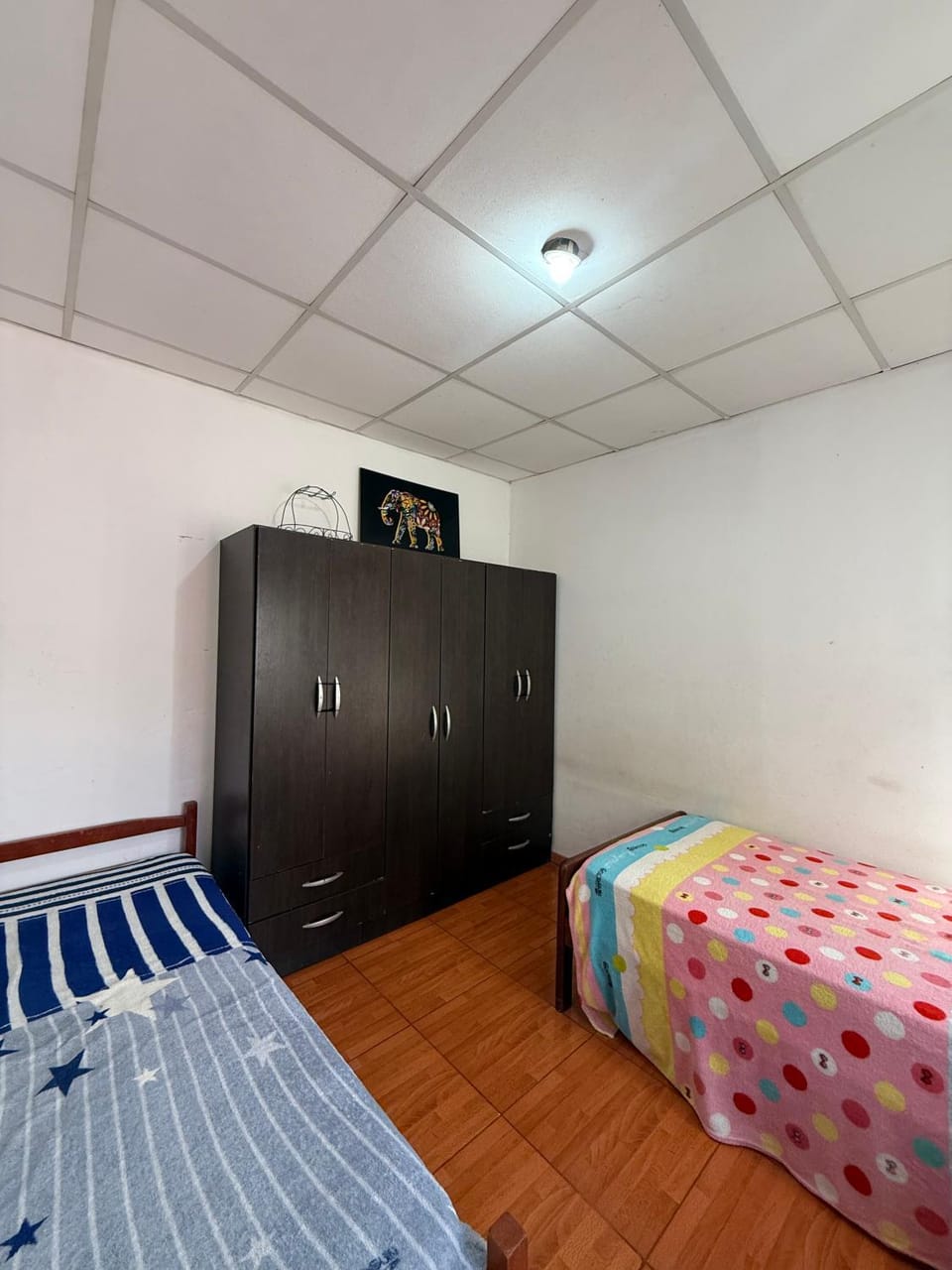 Bed, Photo of the whole room, Bedroom, bunk bed, wardrobe