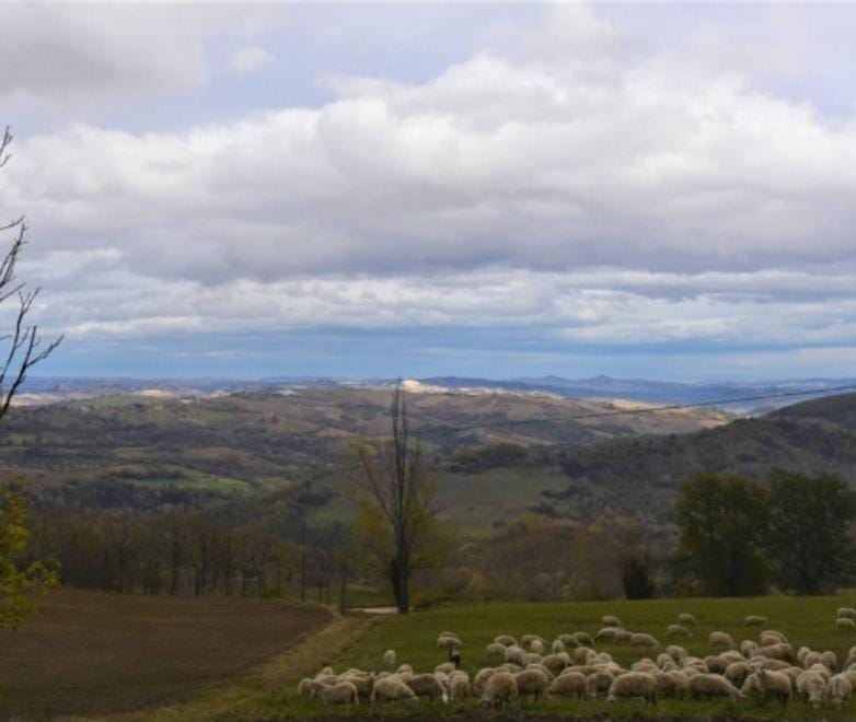 Natural landscape