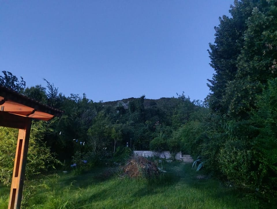 Natural landscape