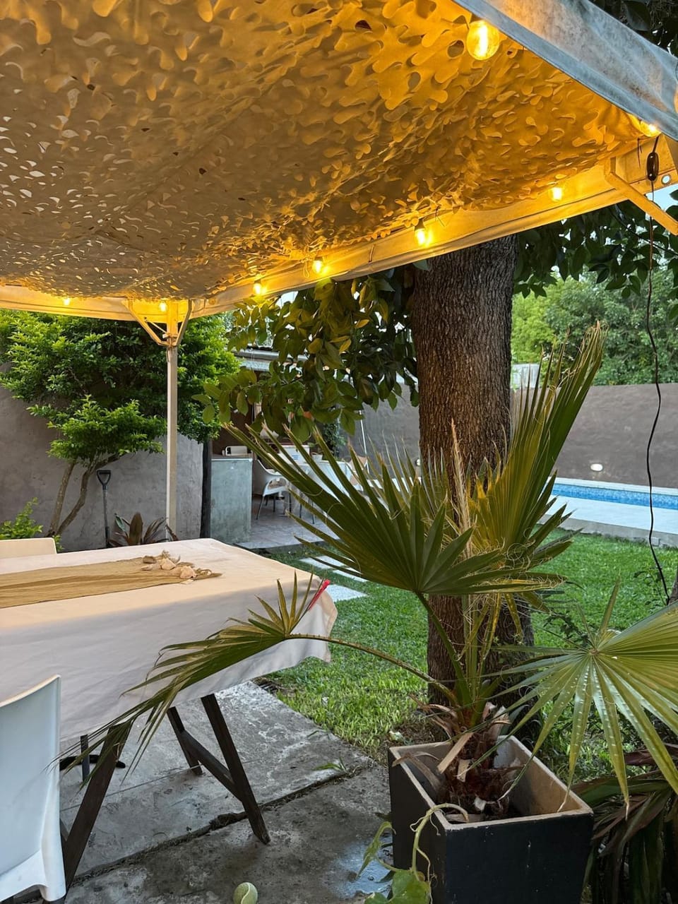 Patio, Spring, Day, Garden, Dining area, Garden view