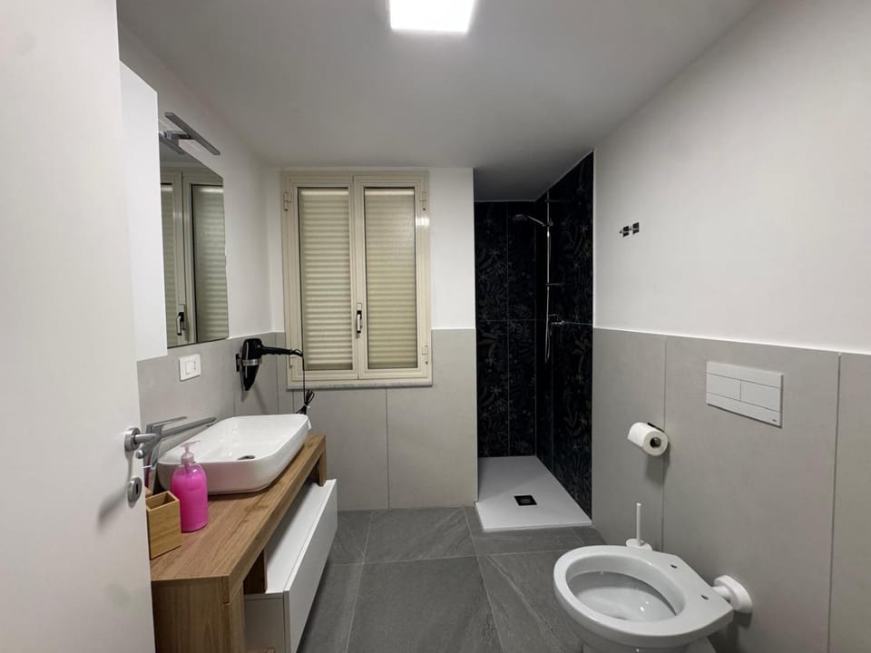Shower, Toilet, Bathroom, bidet, towels