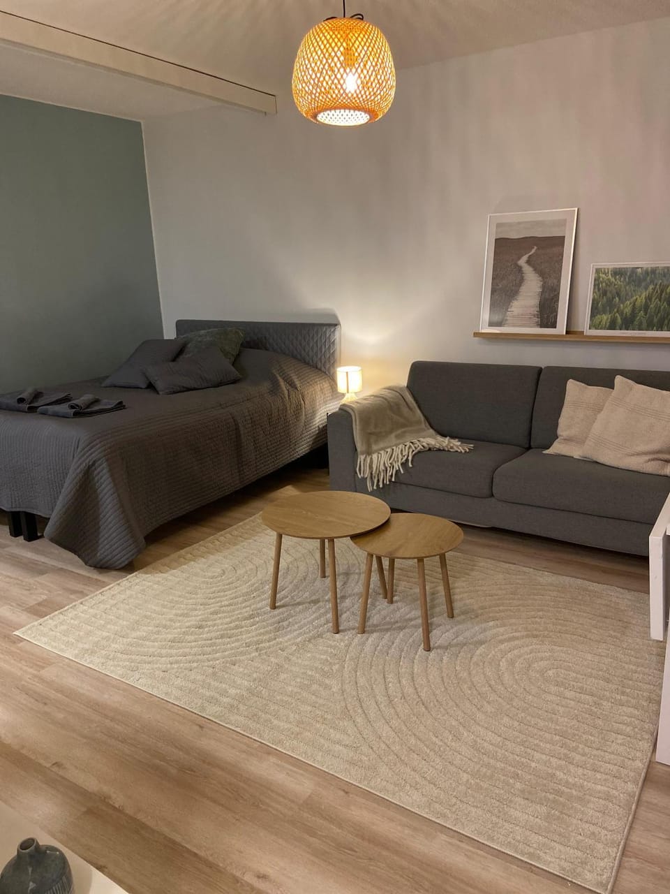 Photo of the whole room
