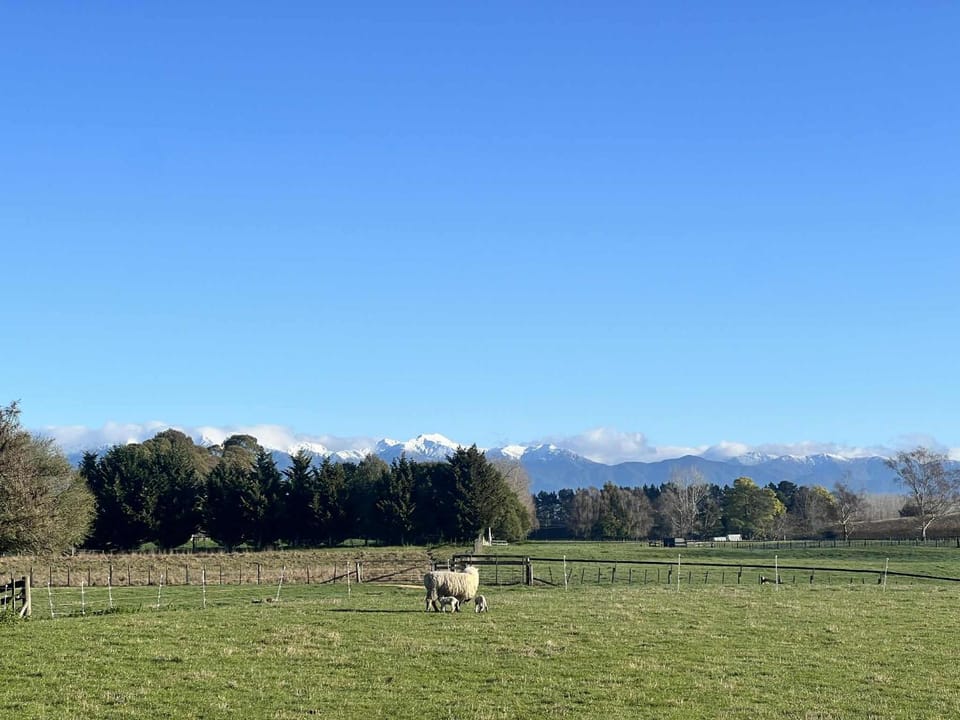 Natural landscape, View (from property/room), Mountain view