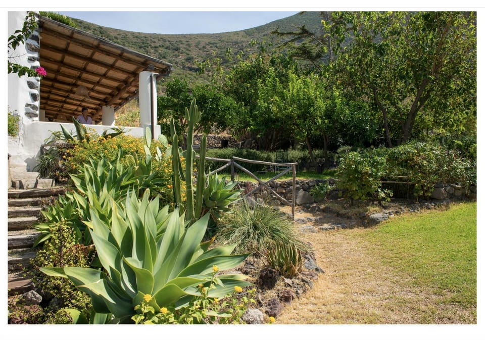 Garden, Garden view