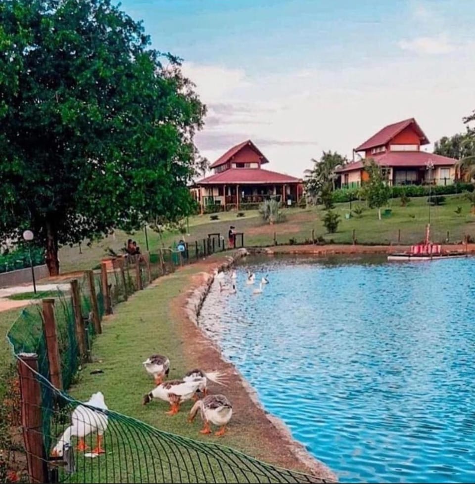 Property building, Spring, Day, Natural landscape, Garden, Aqua park, Garden view, Pool view, Swimming pool, sunbed