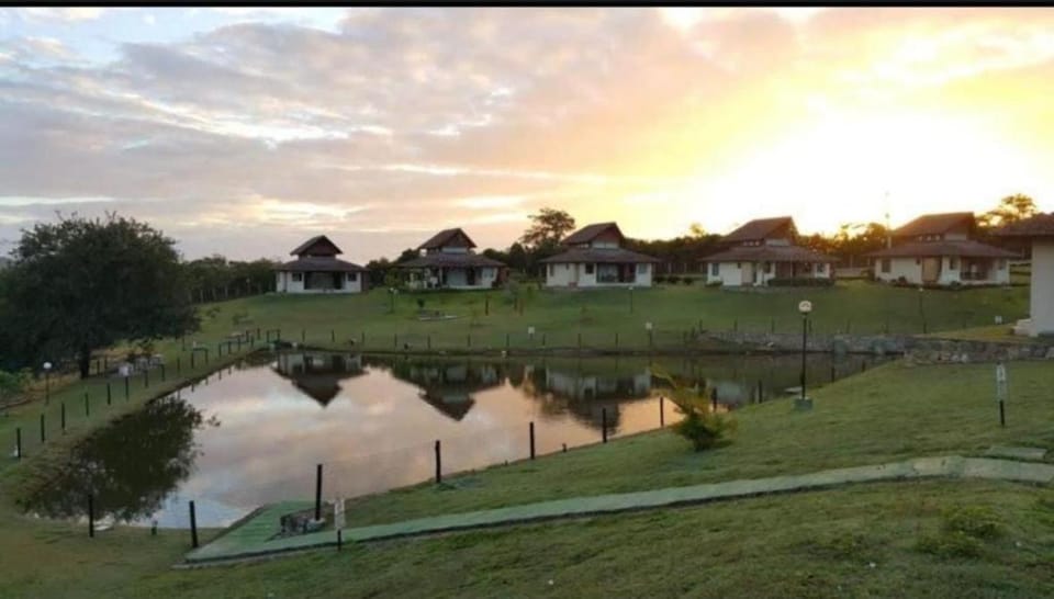 Day, Natural landscape, Garden, Lake view, River view, Sunrise, Sunset