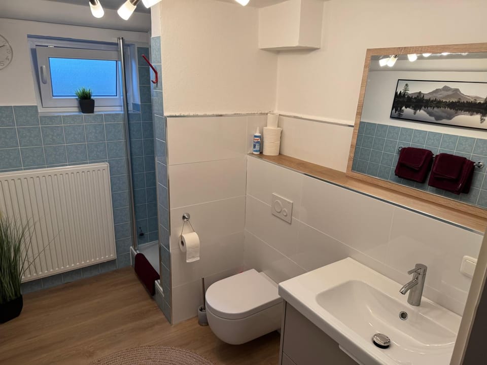 Toilet, Bathroom