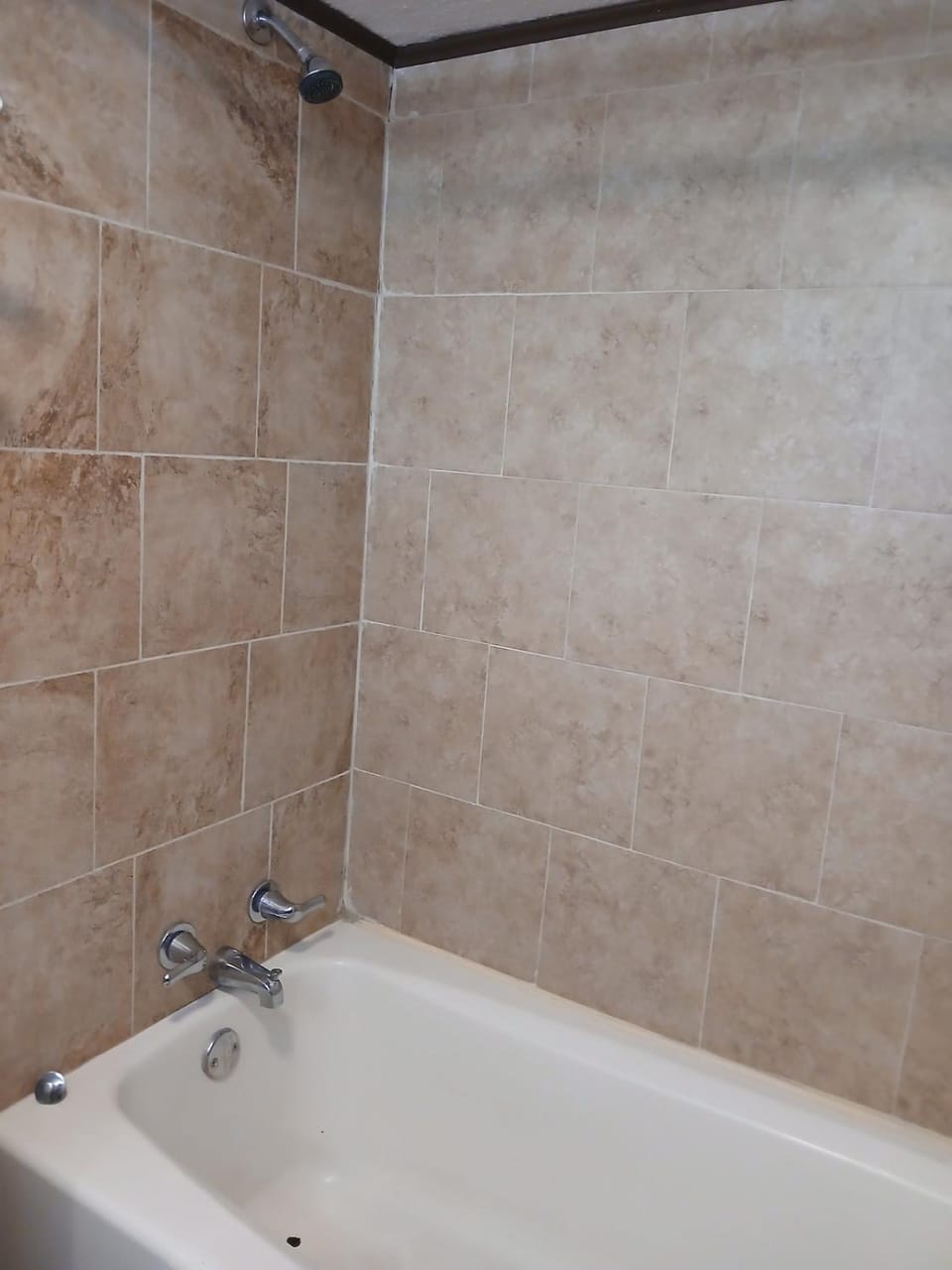 Gated 1 King BR 1 Bath Apt with Full Kitchen 123 Apartment in Baton Rouge