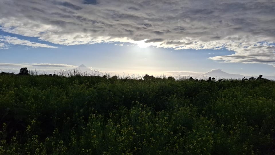 Sunrise