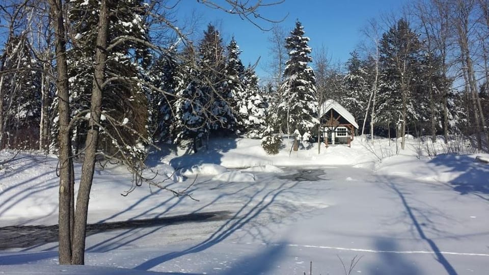 Chalet au cœur de la foret St-Prime Chalet in La Tuque