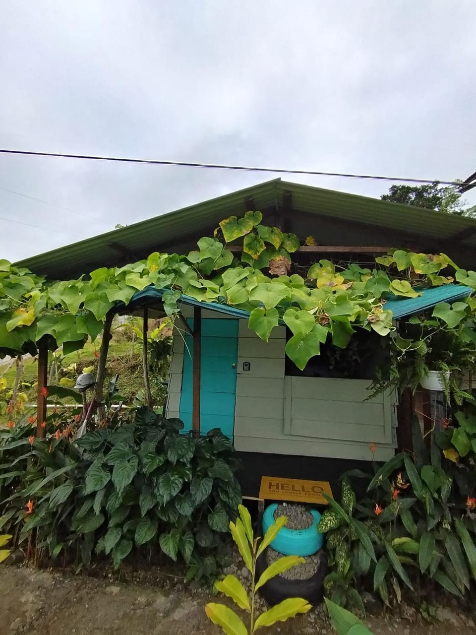 Arenal Rainforest # La cabaña House in Alajuela Province