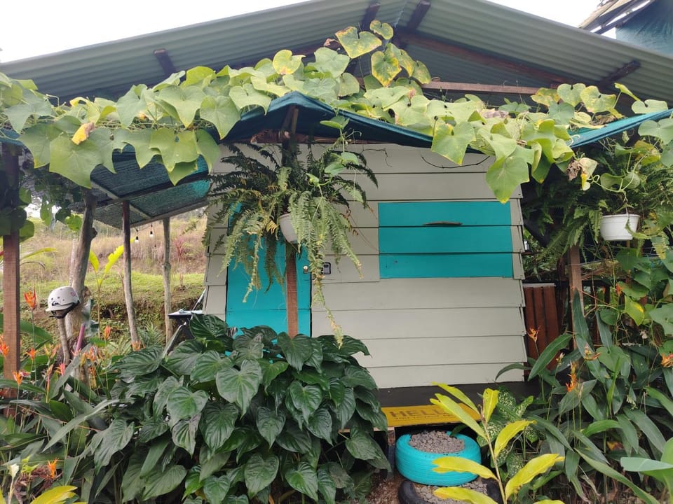 Arenal Rainforest # La cabaña House in Alajuela Province