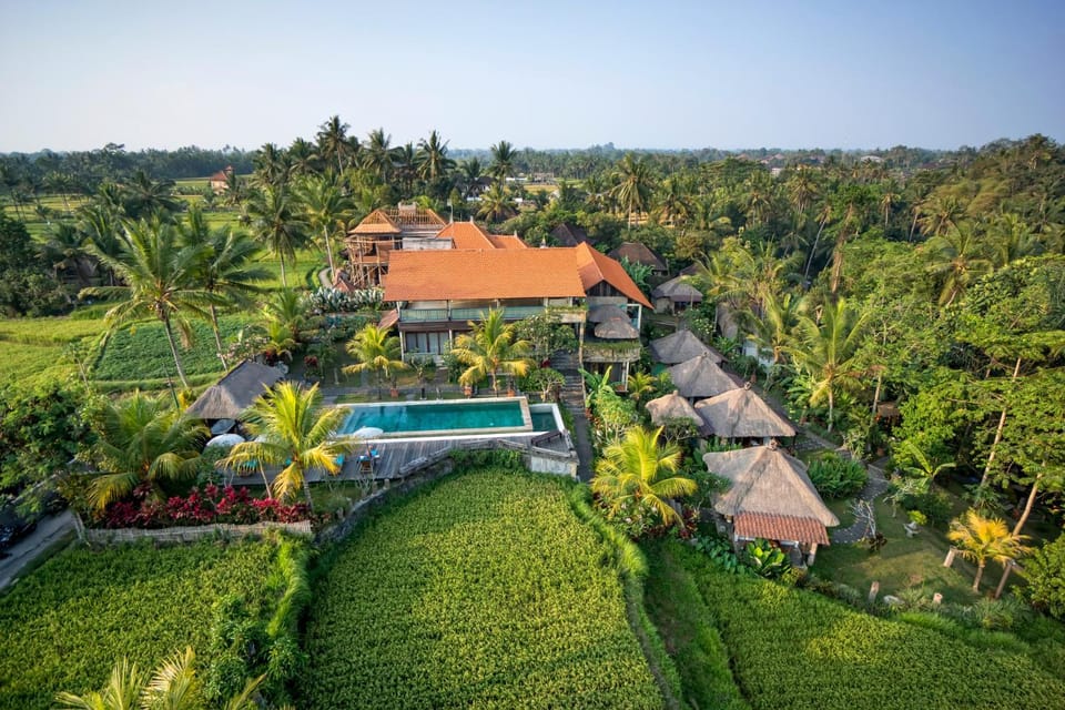 Day, Bird's eye view