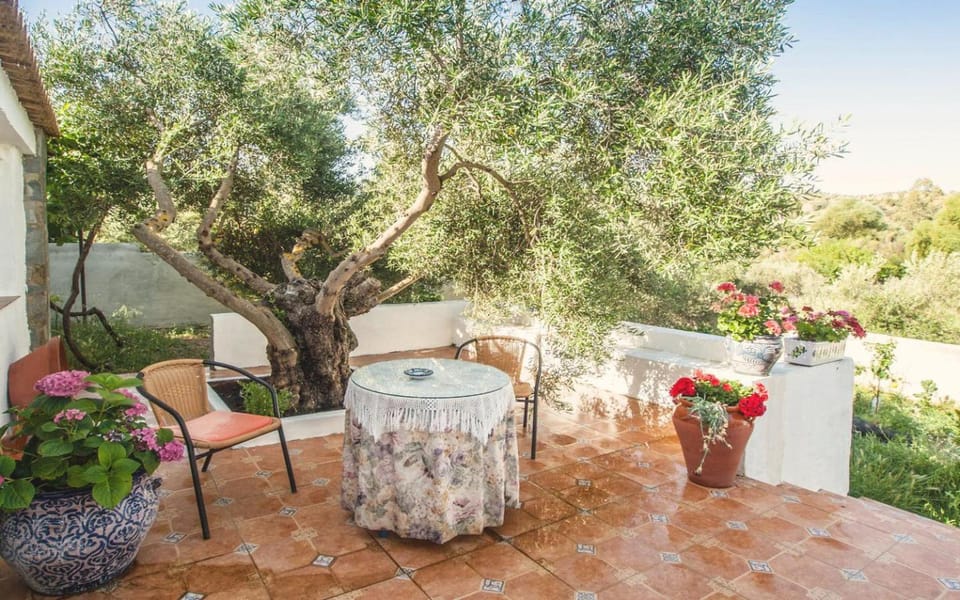 Garden, View (from property/room), Balcony/Terrace, Garden view