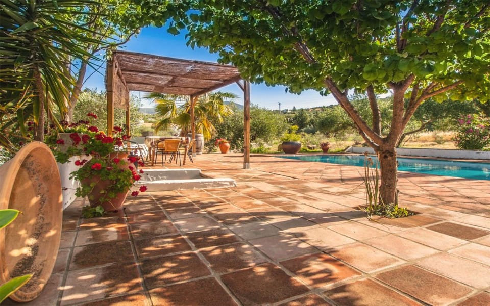 Natural landscape, Garden view, Pool view, sunbed