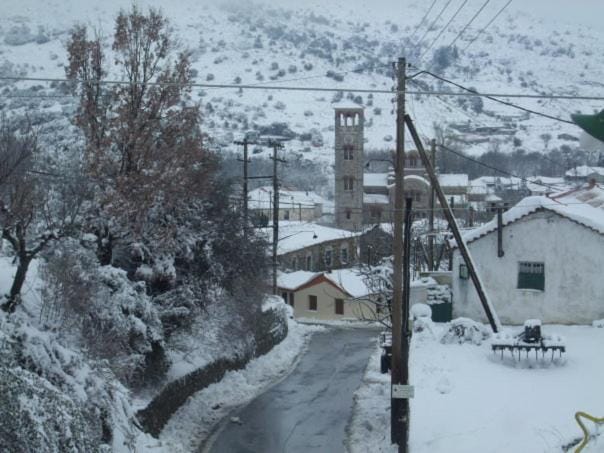 Winter