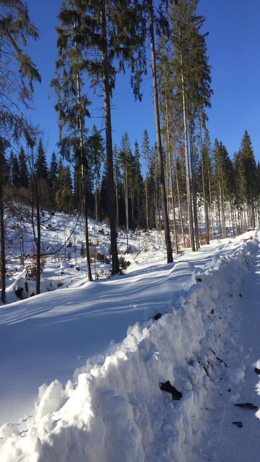Off site, Winter, Ski School, Skiing, Hiking