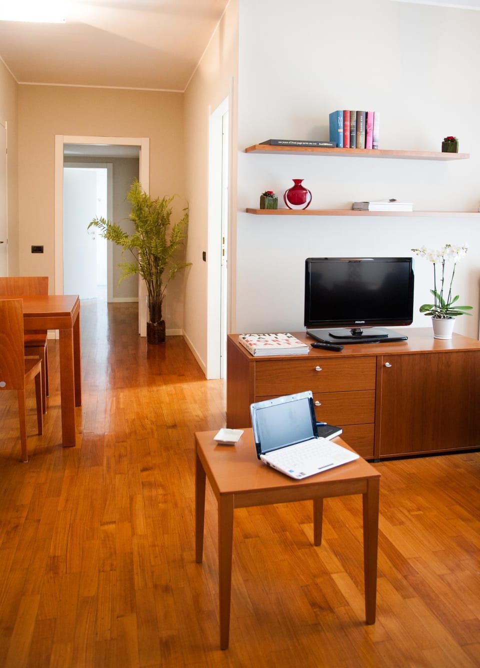 TV and multimedia