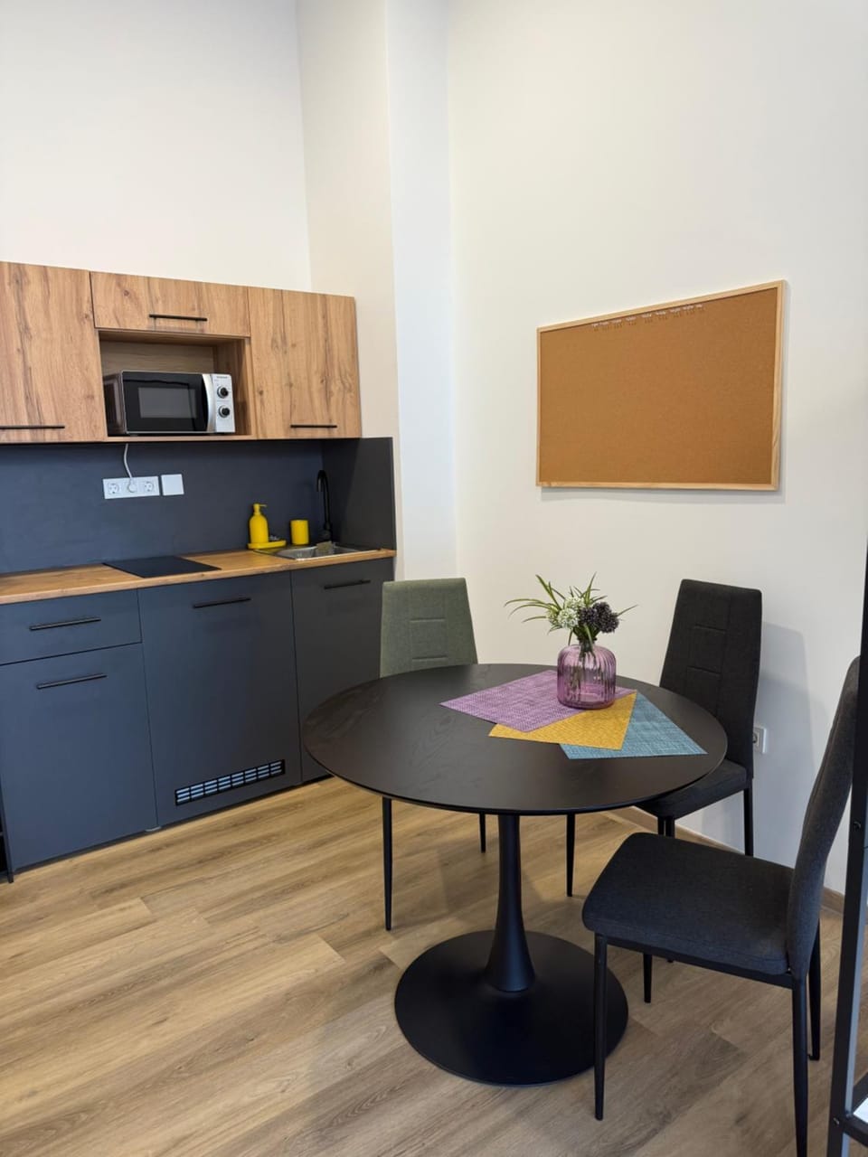 ARIA apartment - self check-in Apartment in Slovenia