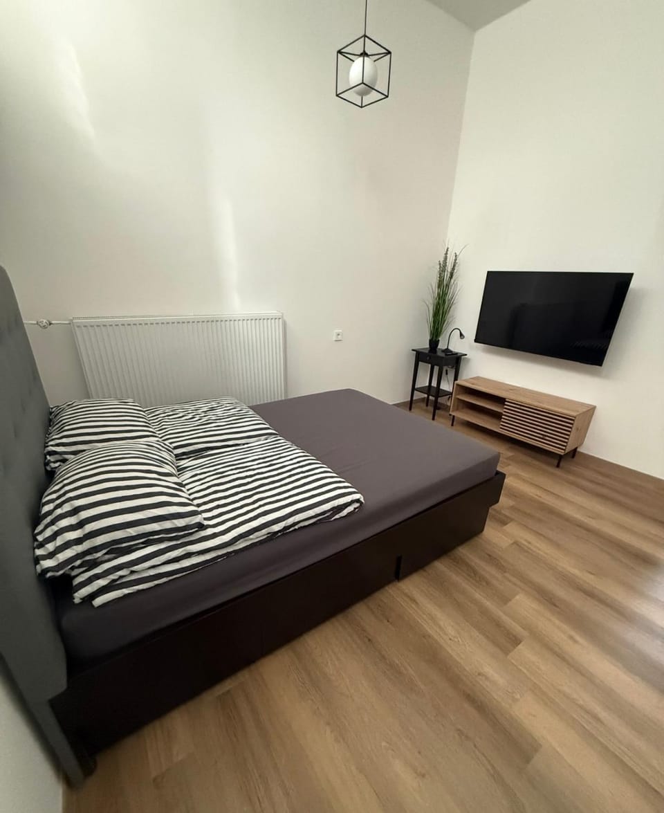 ARIA apartment - self check-in Apartment in Slovenia