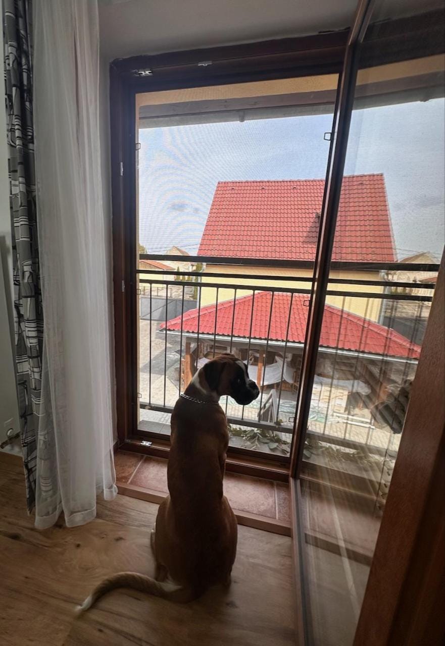 View (from property/room), Pets