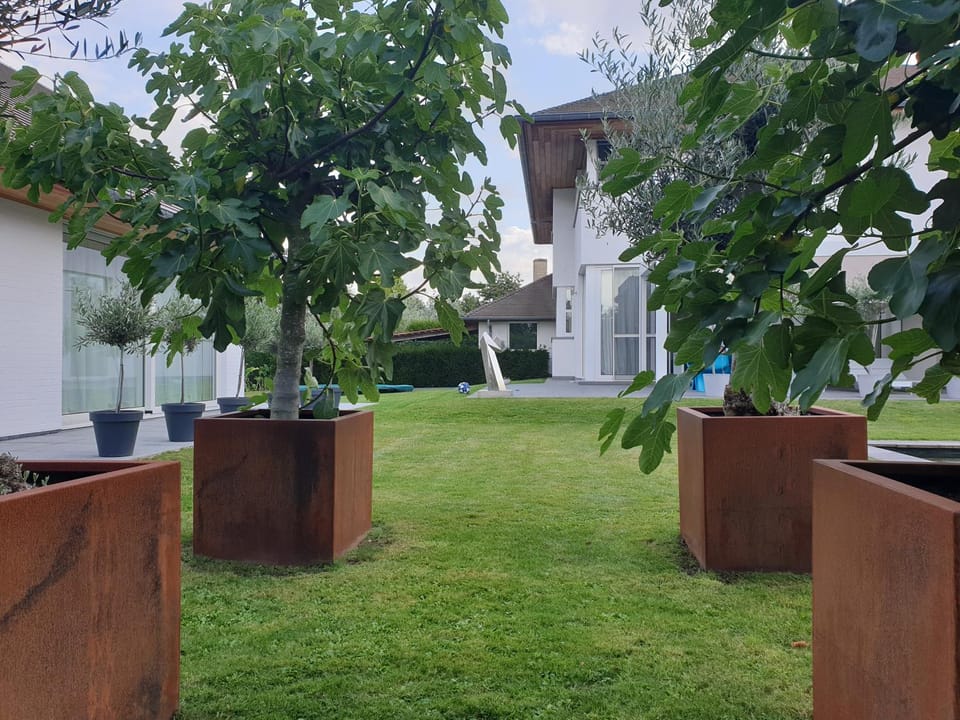 Guesthouse Thibault Villa in Flanders