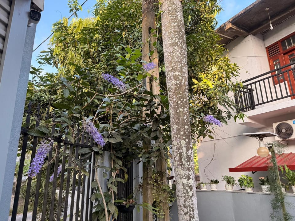 Leons house Apartment in Galle
