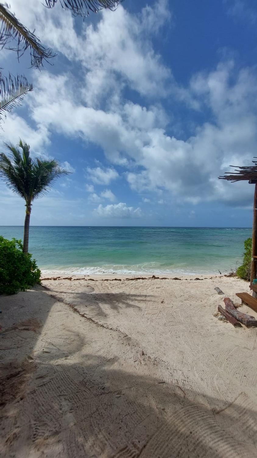 Day, Natural landscape, Beach, Sea view