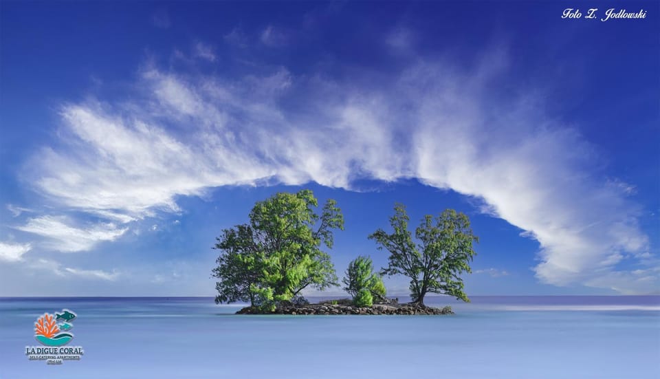 Natural landscape