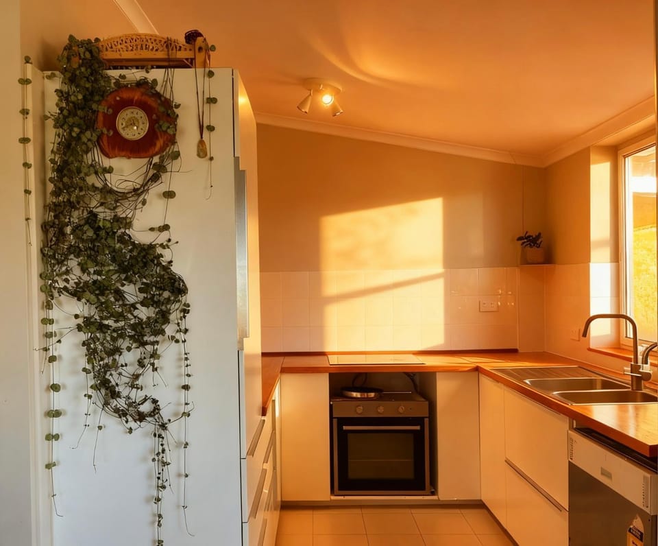 The tiny homes at The Original Farm Nature lodge in Marchmont