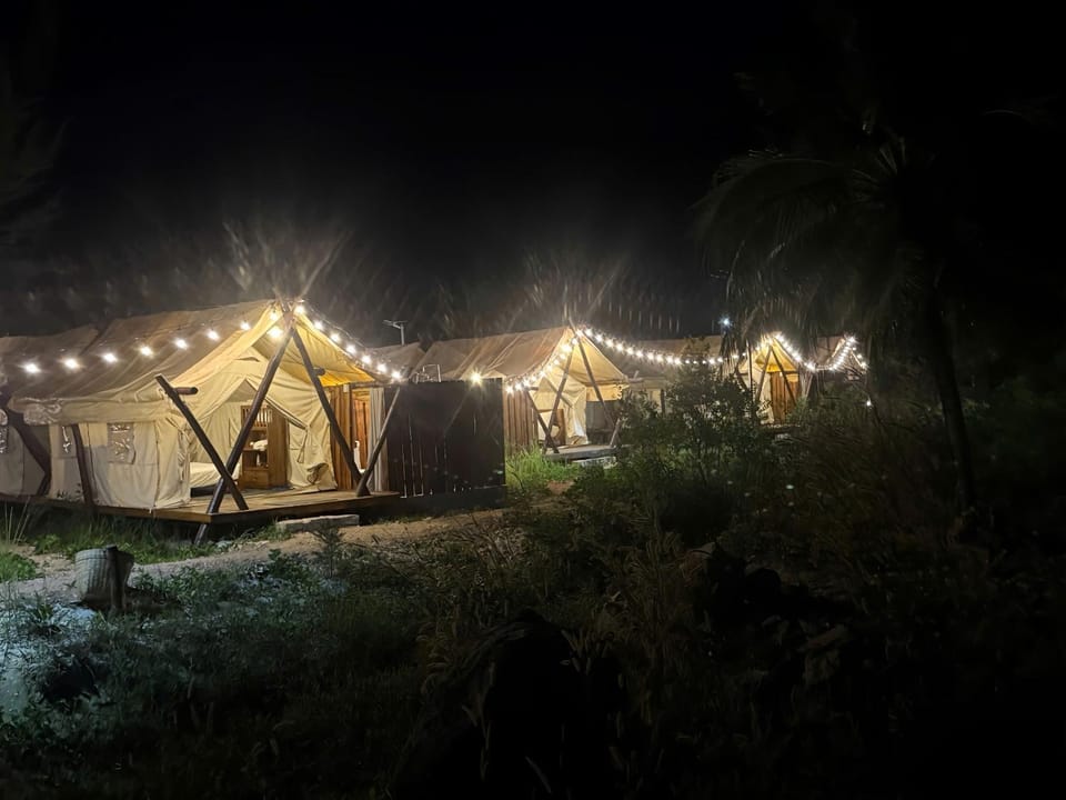Night, Garden