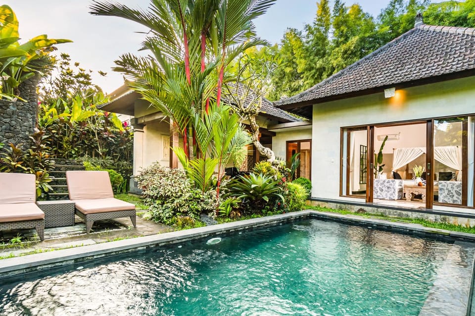 Natural landscape, Garden, Garden, Garden view, Pool view, Swimming pool, sunbed