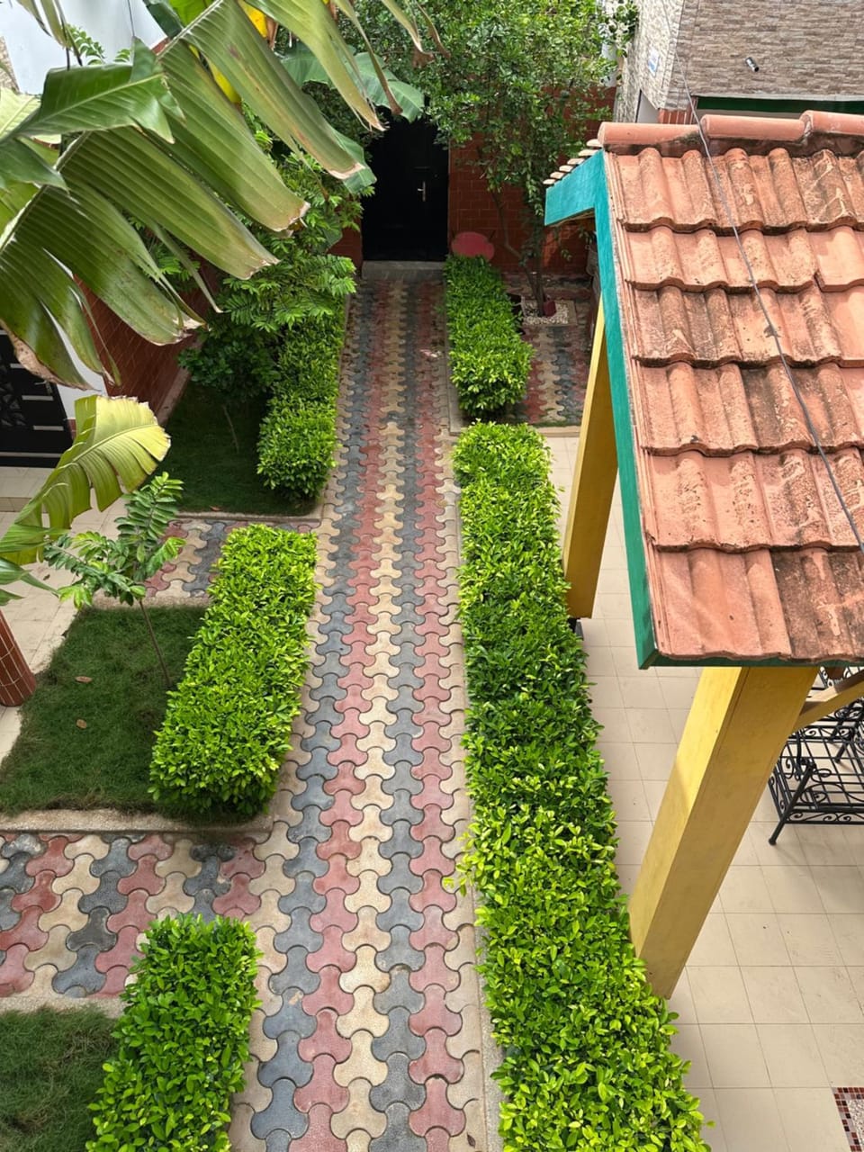 Property building, Garden, Garden view, Swimming pool, Inner courtyard view