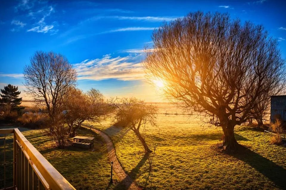 Garden view
