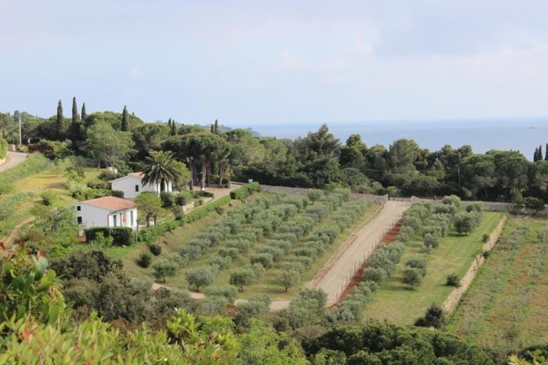 VILLETTA ZUCCALE - A 200 mt dalla spiaggia Apartment in Capoliveri