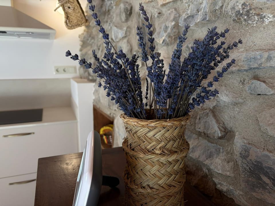 Borda del Llano House in Catalonia